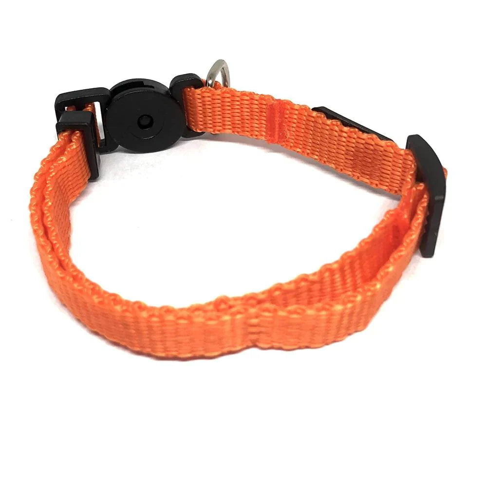 #color_Orange