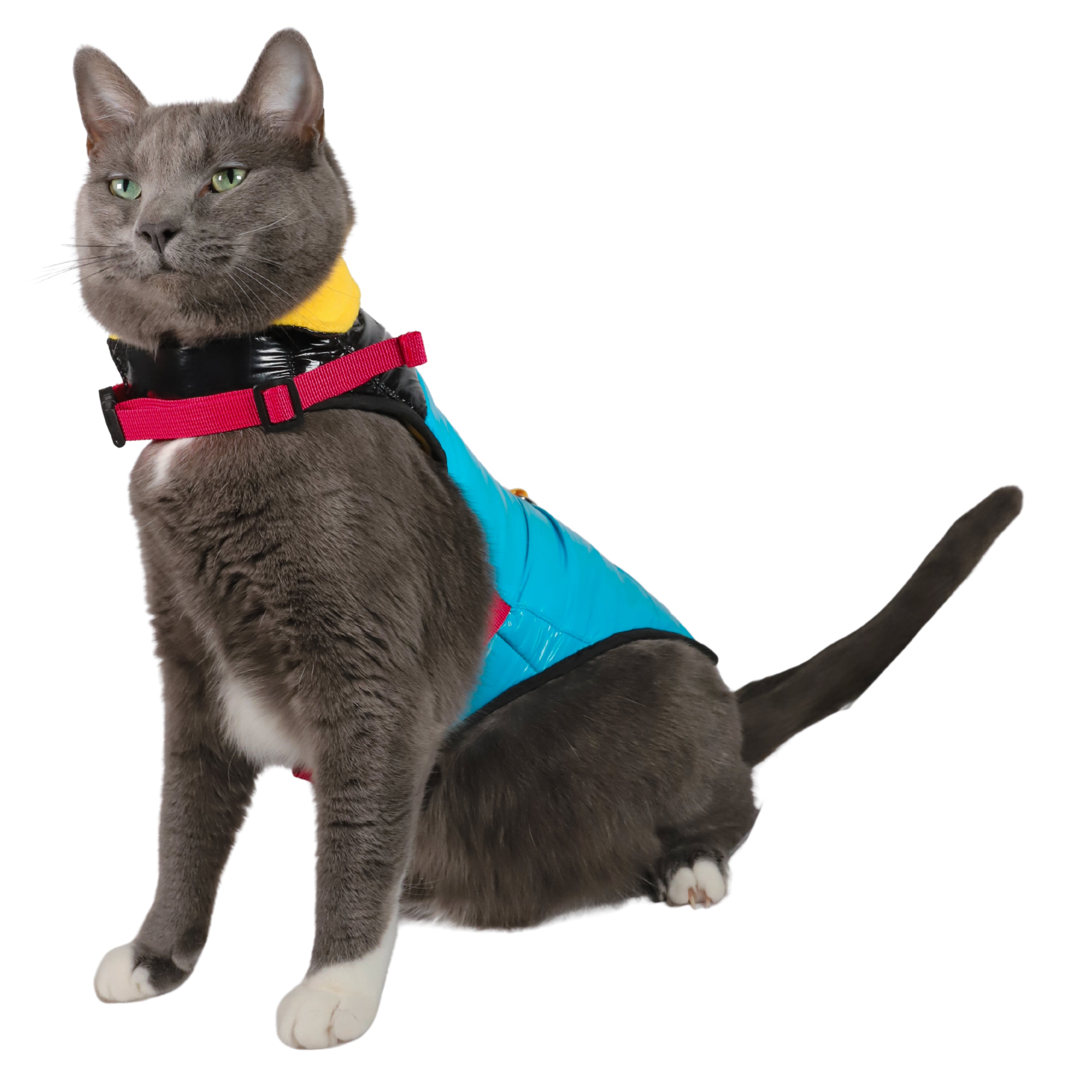 "The Catagonia" Puffer Jacket & Cat Harness