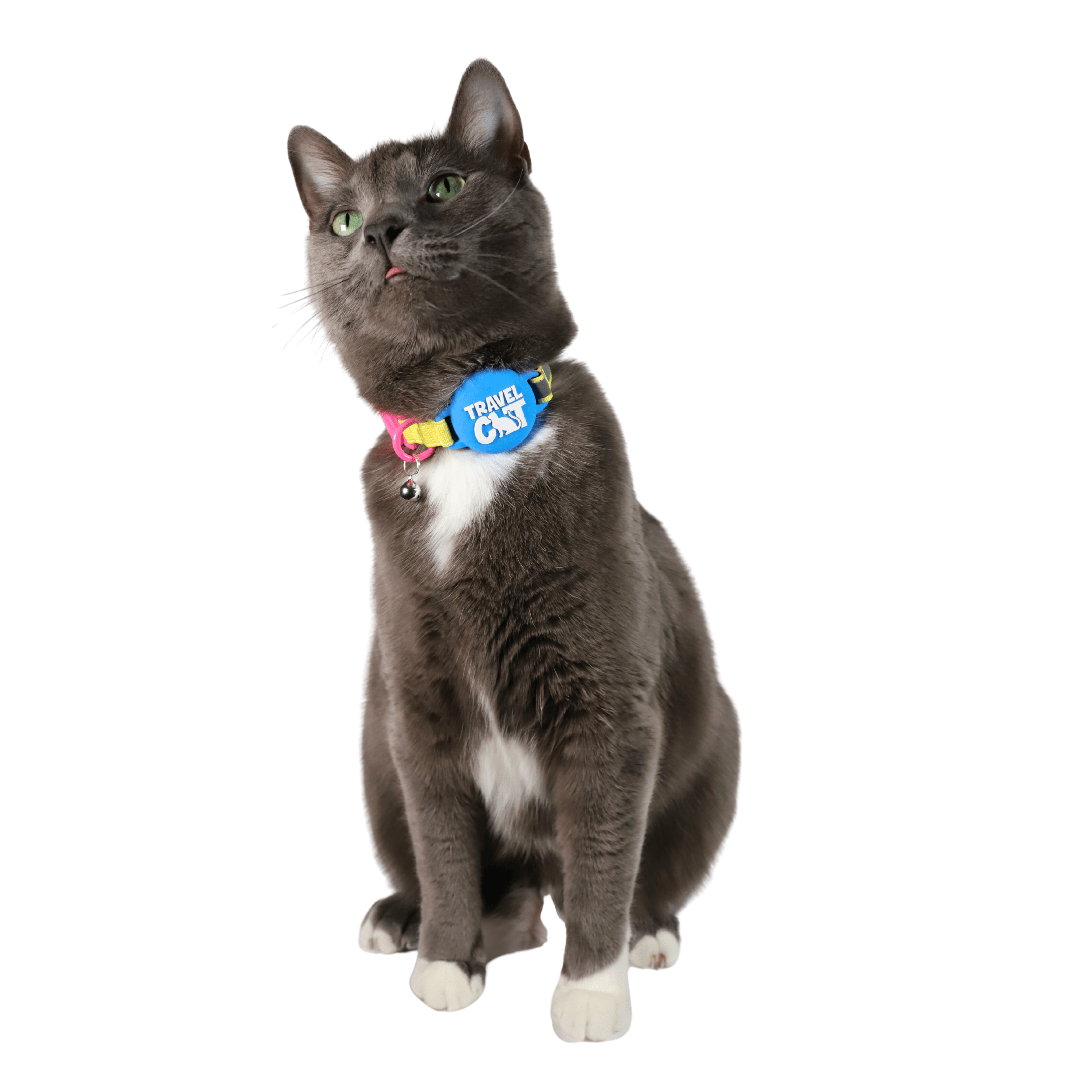 Breakaway AirTag Holder Collar