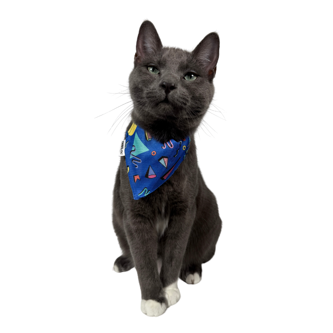"The 90s Cat" Bandana & Collar Set