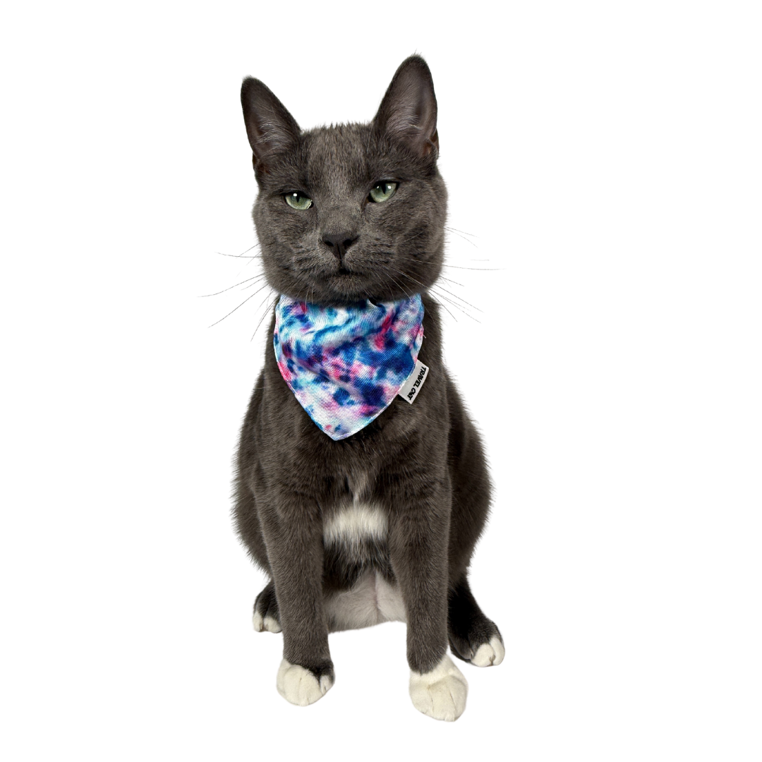 The Groovy Cat Bandana & Cat Collar