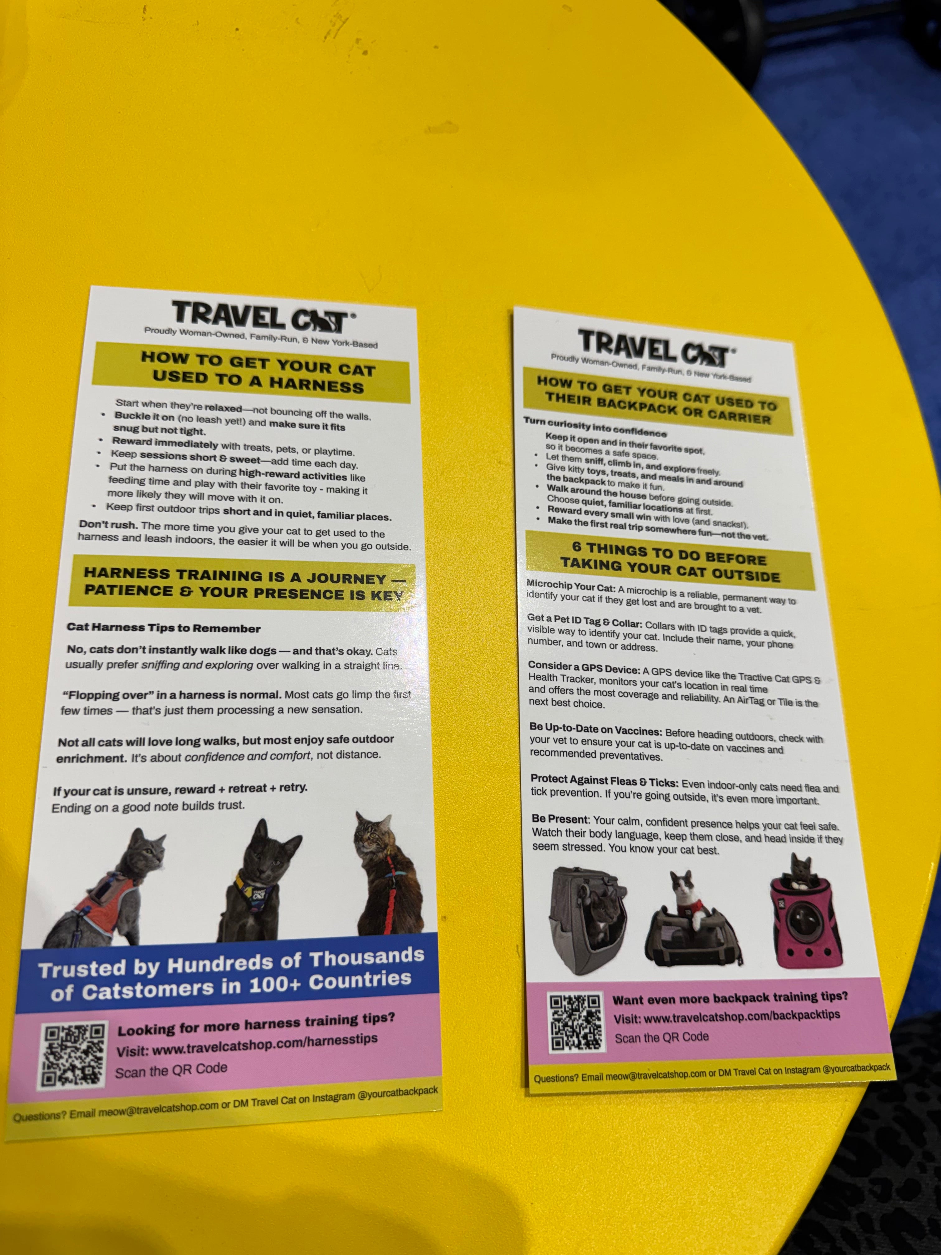Educational Handout Flyer