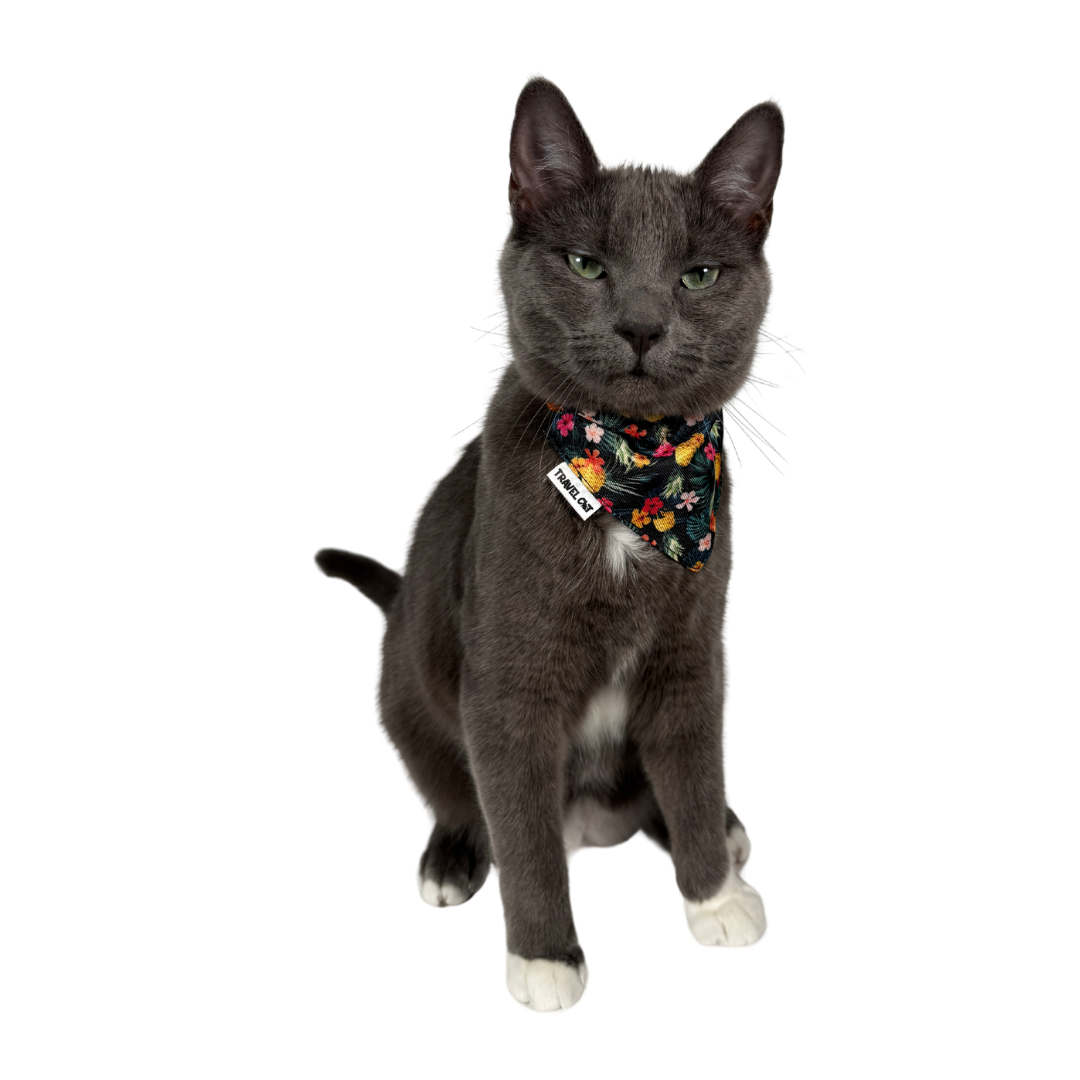 "The Hawaiian" Bandana & Collar Set