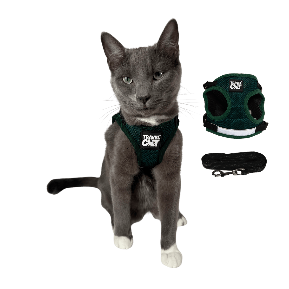 #Color_The Emerald Explorer
