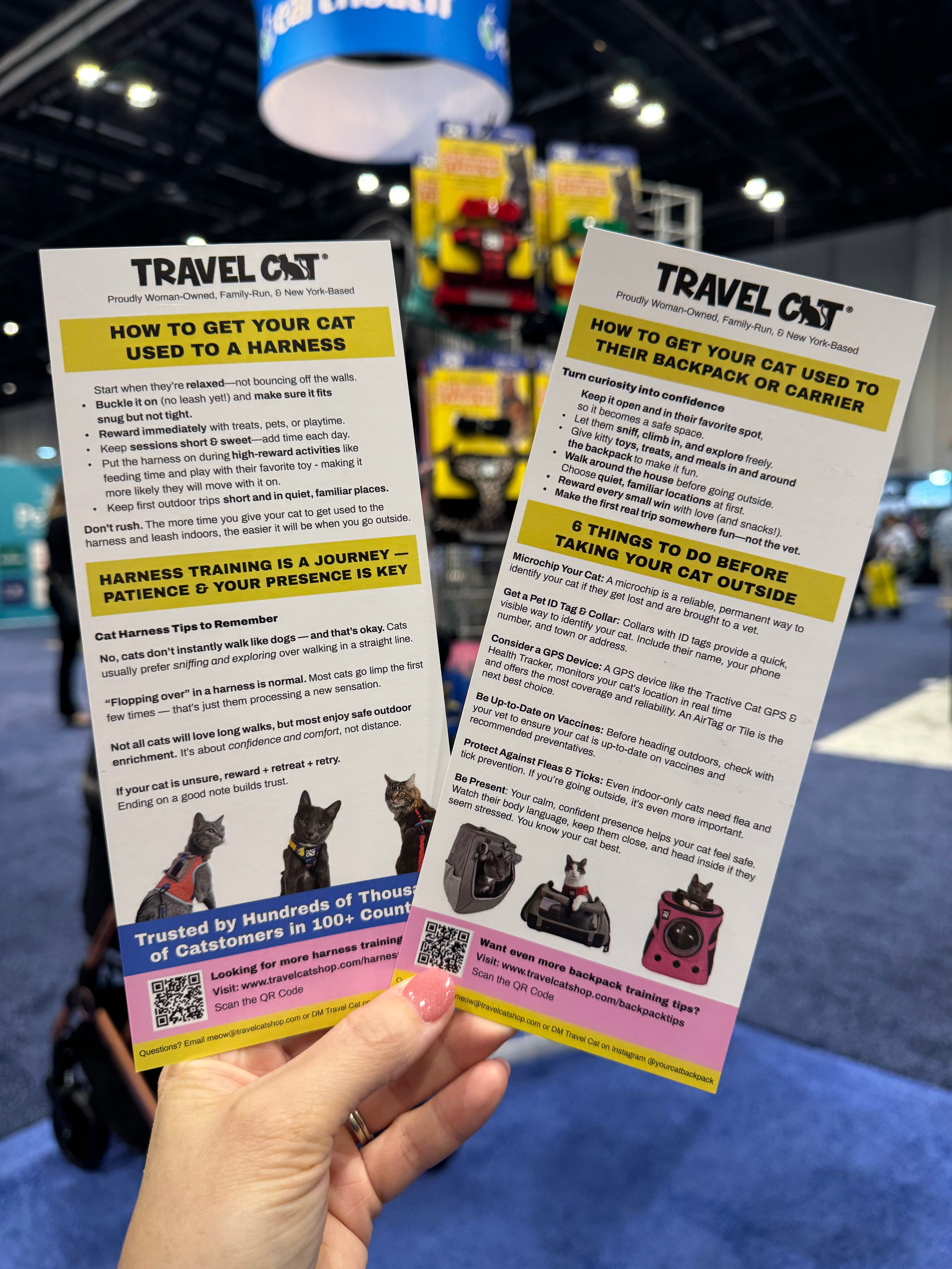 Educational Handout Flyer