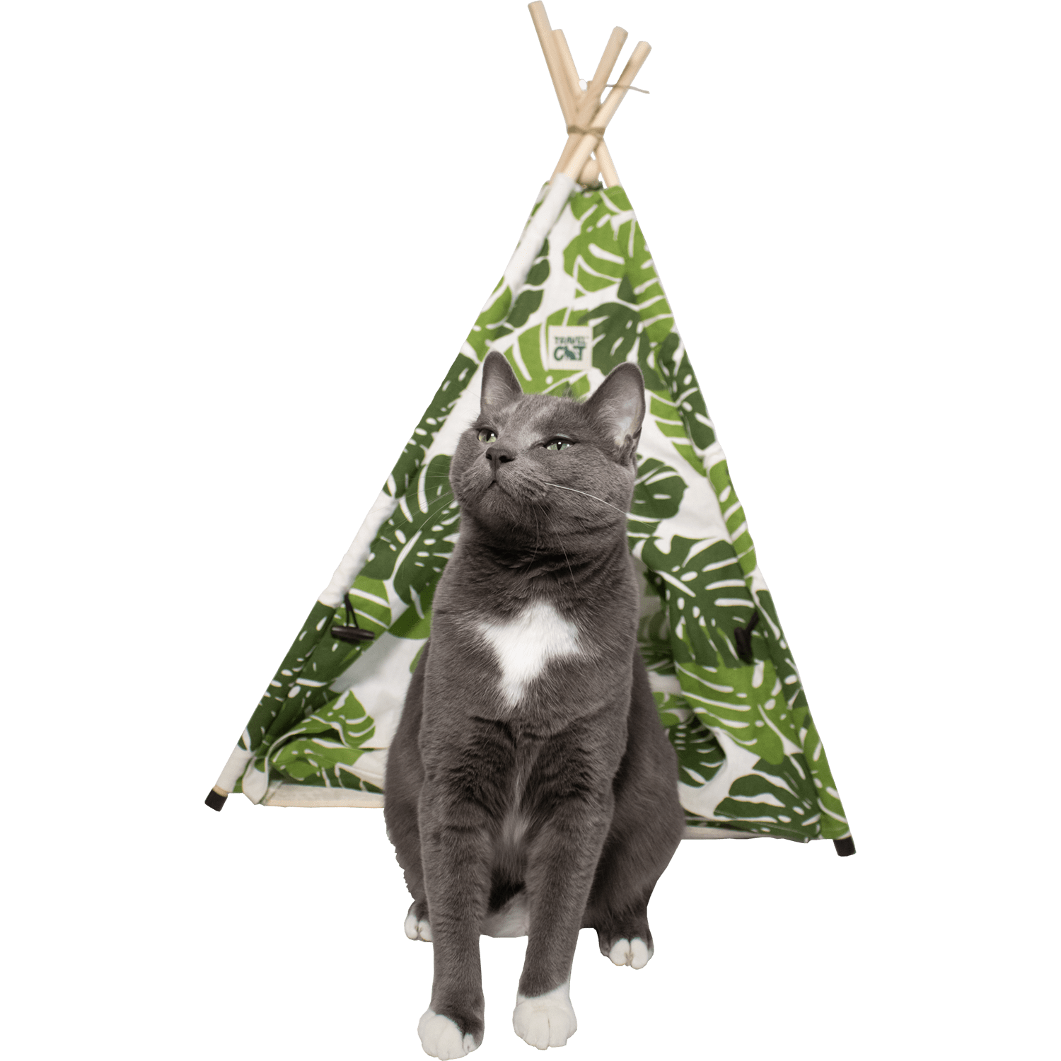 Travel Cat Monstera Cat Tent Bed