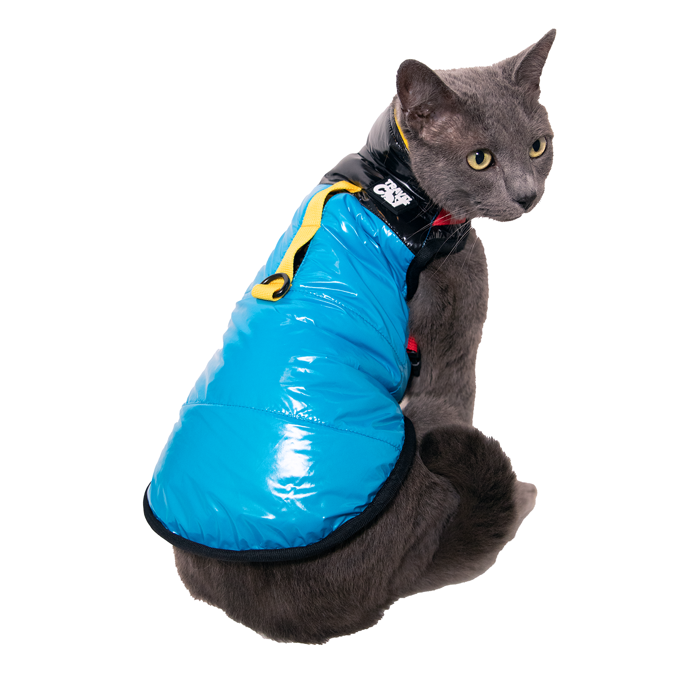 "The Catagonia" Puffer Jacket & Cat Harness