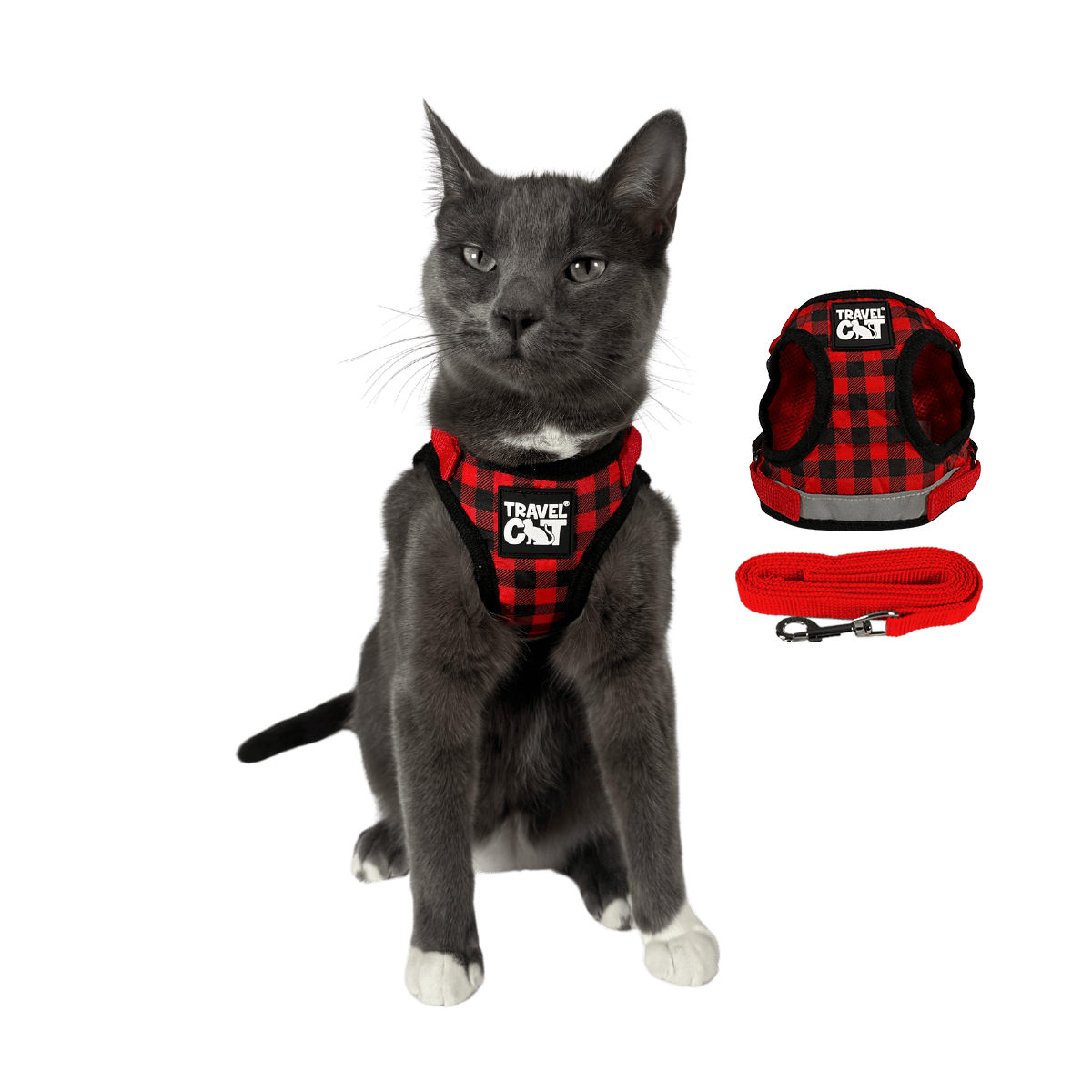 #Color_The Pawsitively Plaid