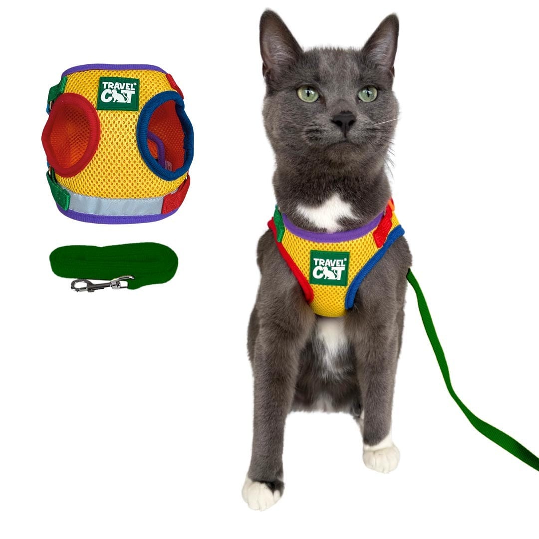 #Color_The Rainbow Cat