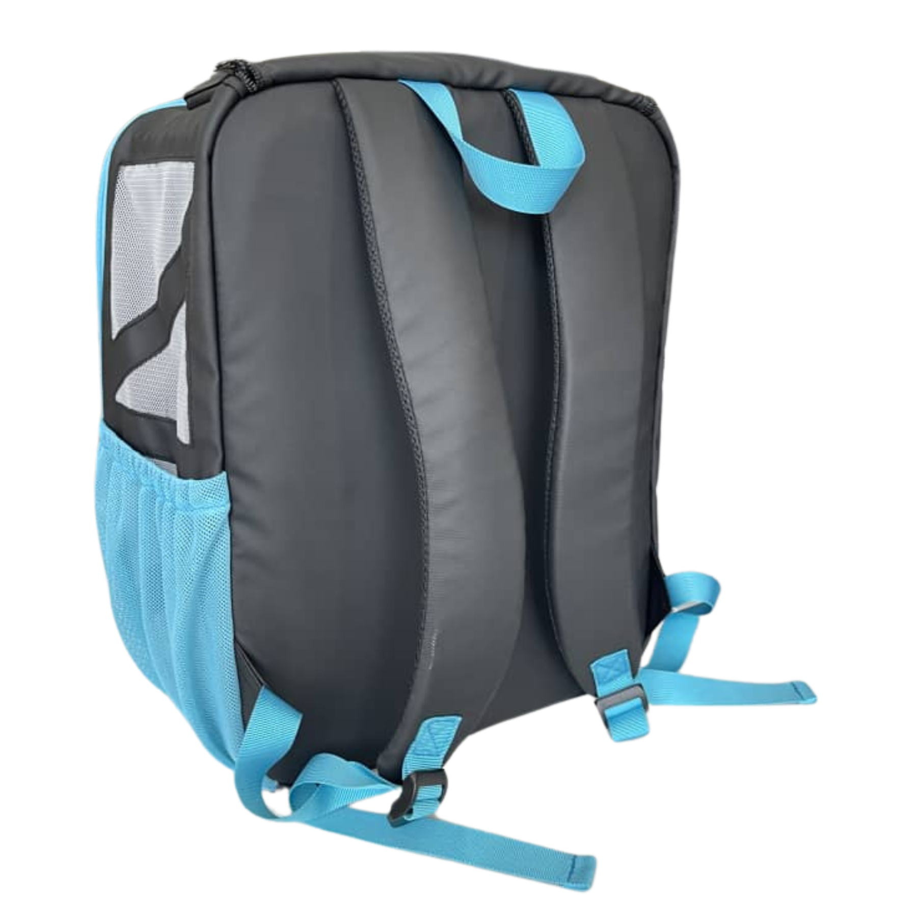 "The Cat-chila" Cat Backpack