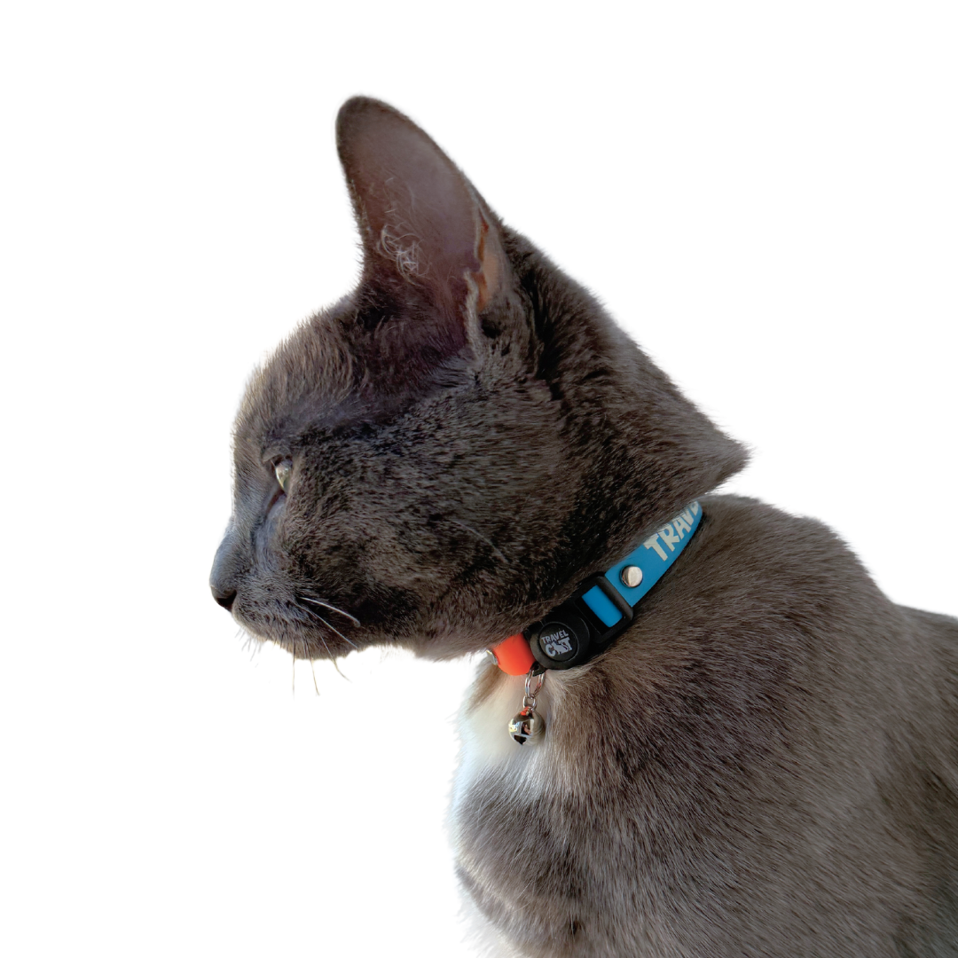 #color_"The Fancy Cat" Silicone Breakaway
