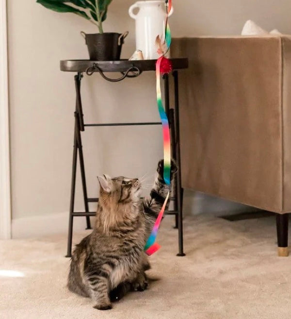 "The Rainbow Dancer" Cat Teaser Toy Wand