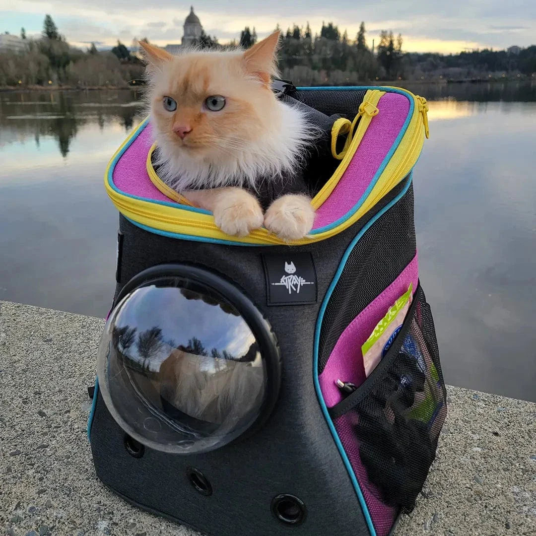 Stray x Travel Cat Backpack - Limited-Edition