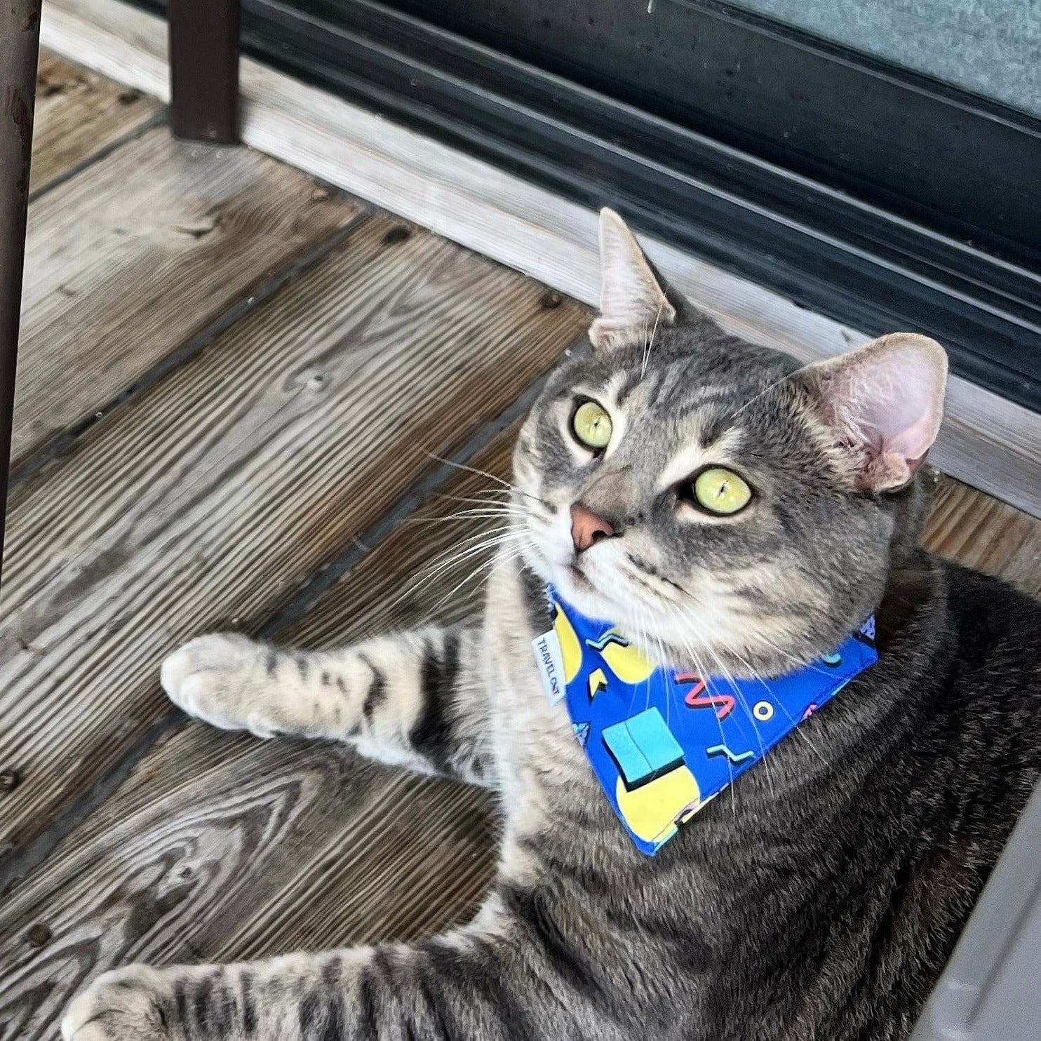 "The 90s Cat" Bandana & Collar Set