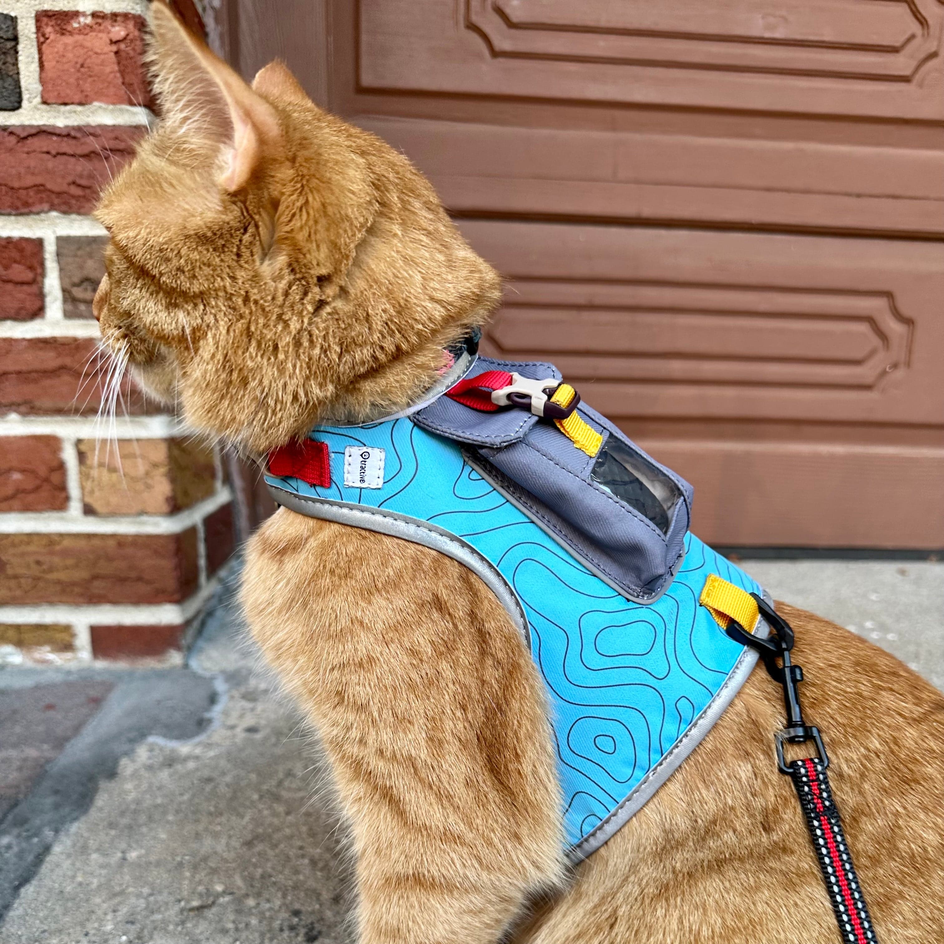 "The Pathfinder" Cat Harness with GPS Tracker Pocket - Powered by Tractive