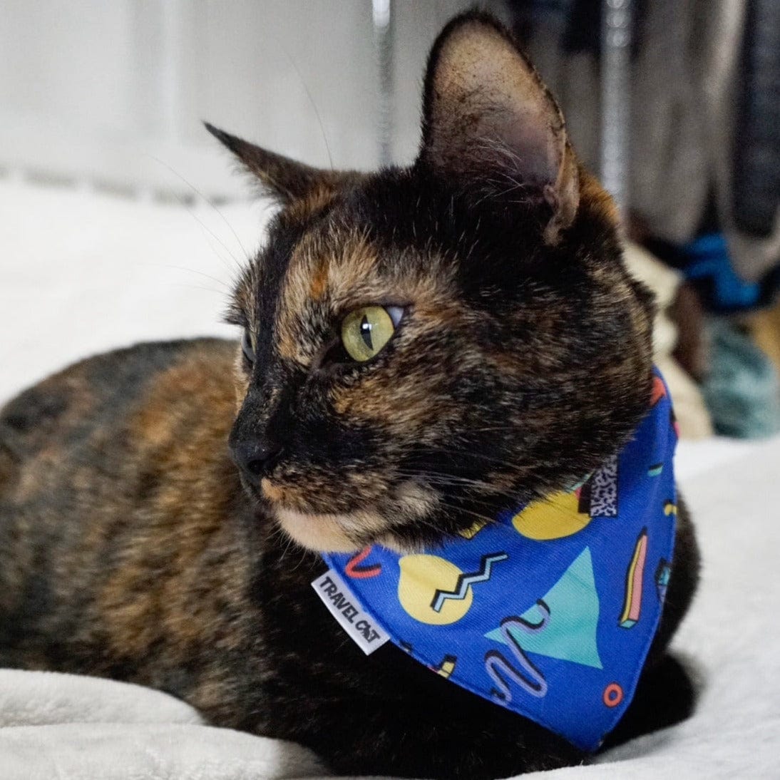 "The 90s Cat" Bandana & Collar Set