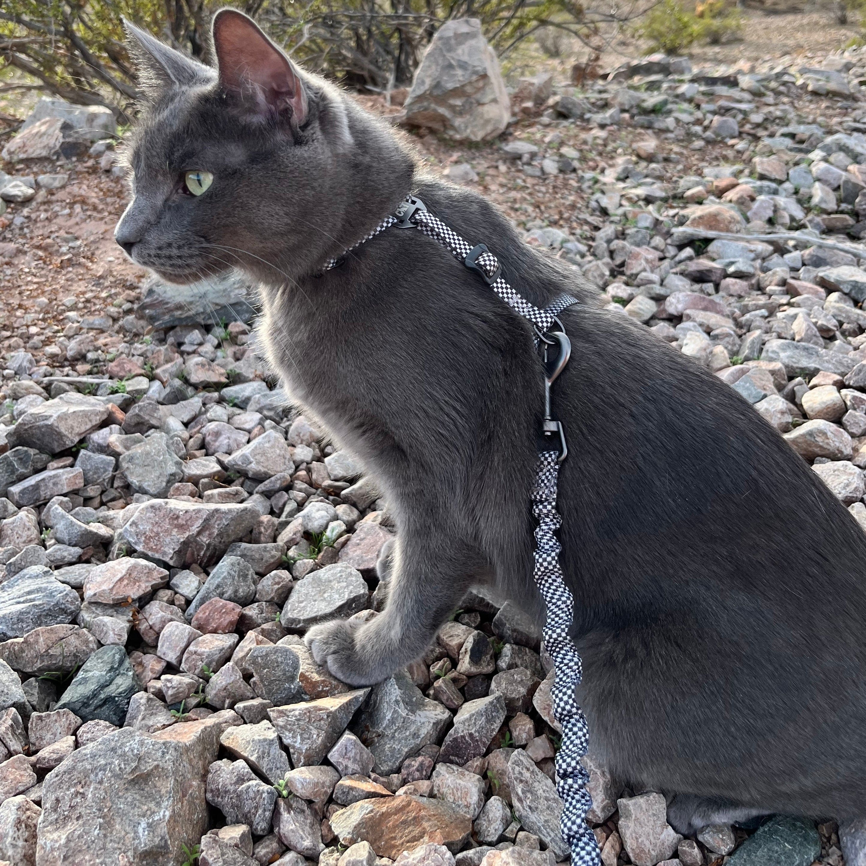 "The Day Tripper" Perfect Adjustable H-Style Cat Harness & Bungee Leash Set - Checkered