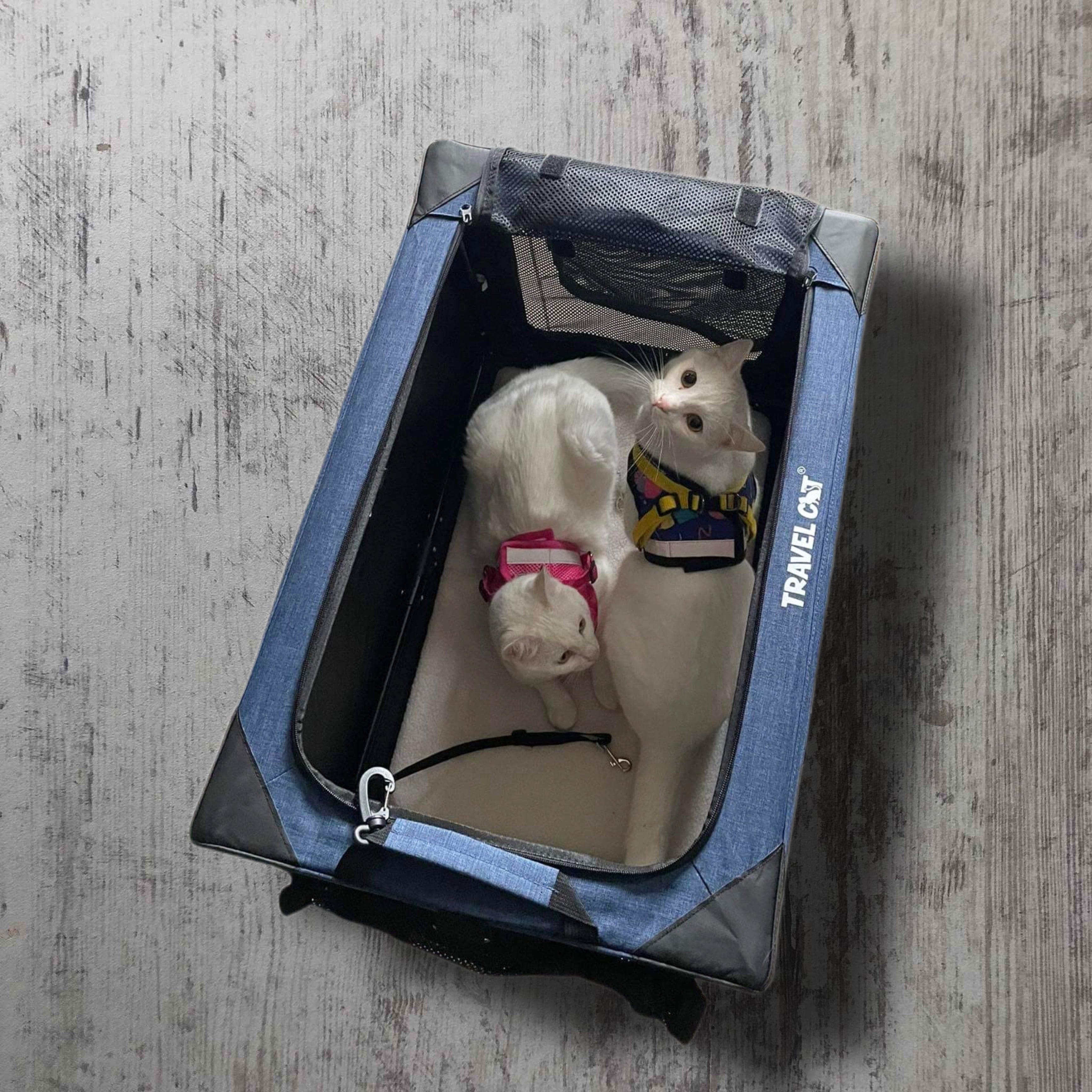 "The Boop Coop" Collapsible Travel Cat Crate & Carrier