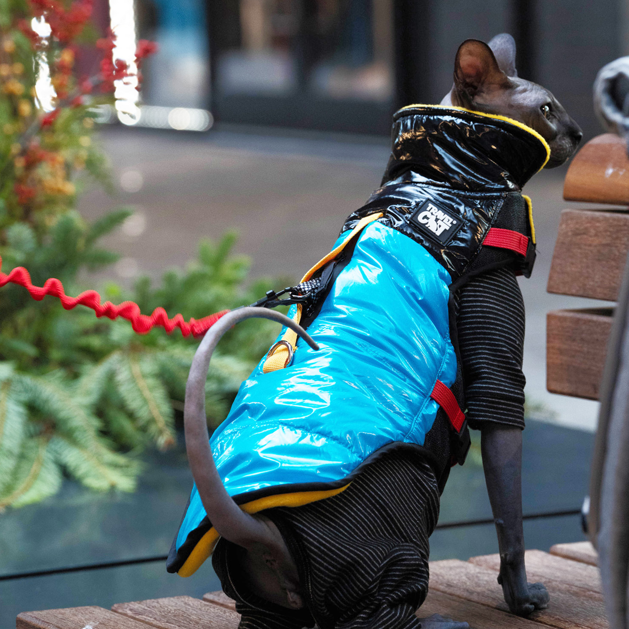 "The Catagonia" Puffer Jacket & Cat Harness