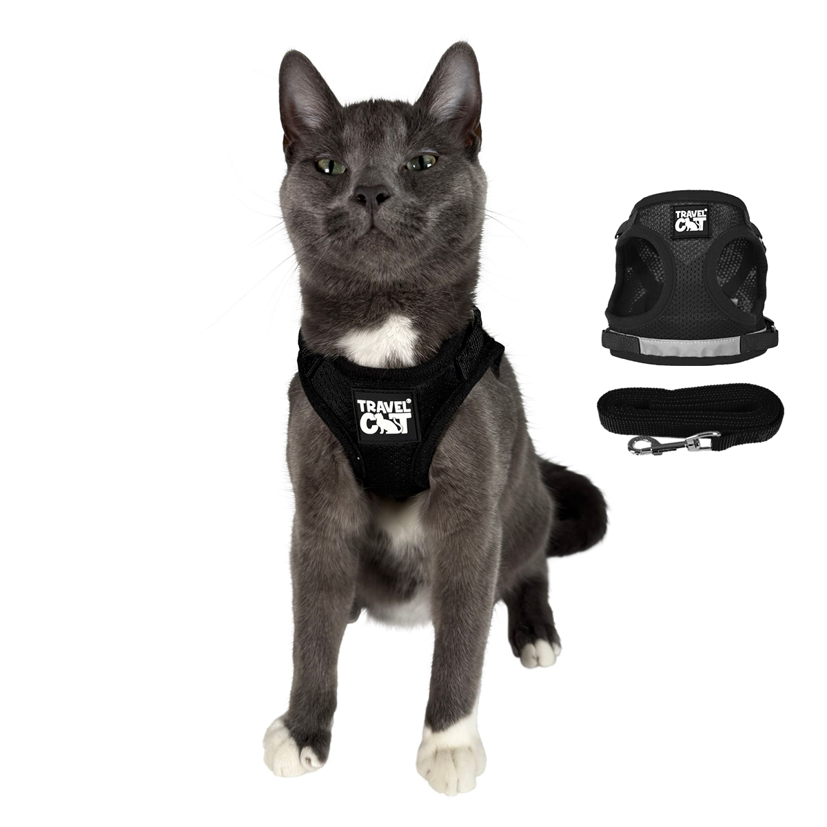 The Black True Adventurer" Reflective Cat & Kitten Harness and Leash