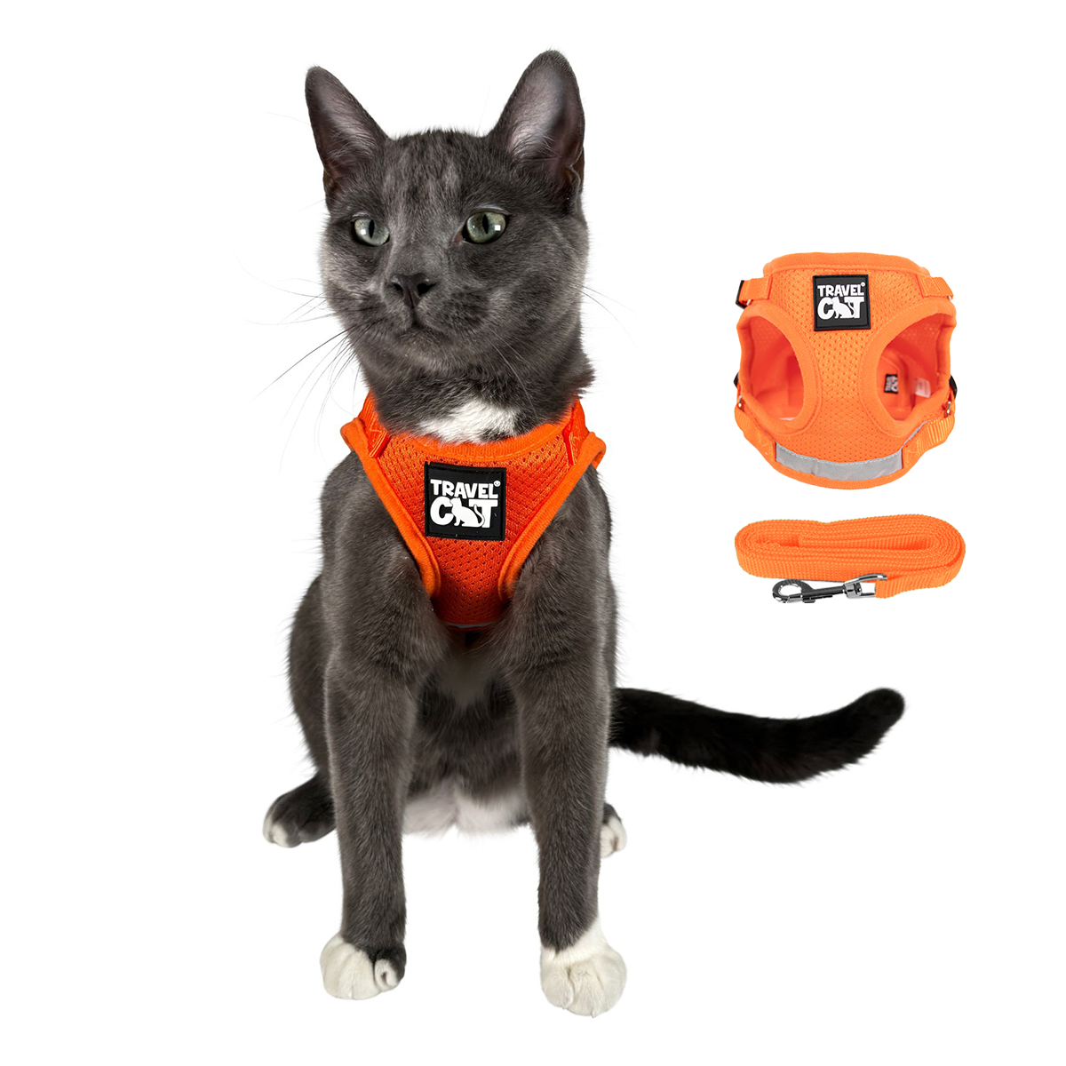 The Orange True Adventurer" Reflective Cat & Kitten Harness and Leash