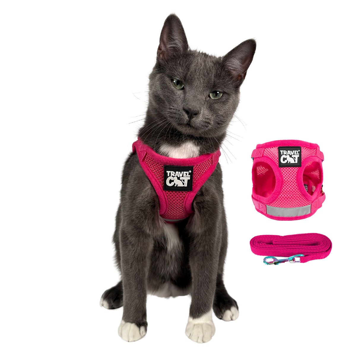 "The Purrfectly Pink" Iridescent Limited-Edition Harness & Leash Set