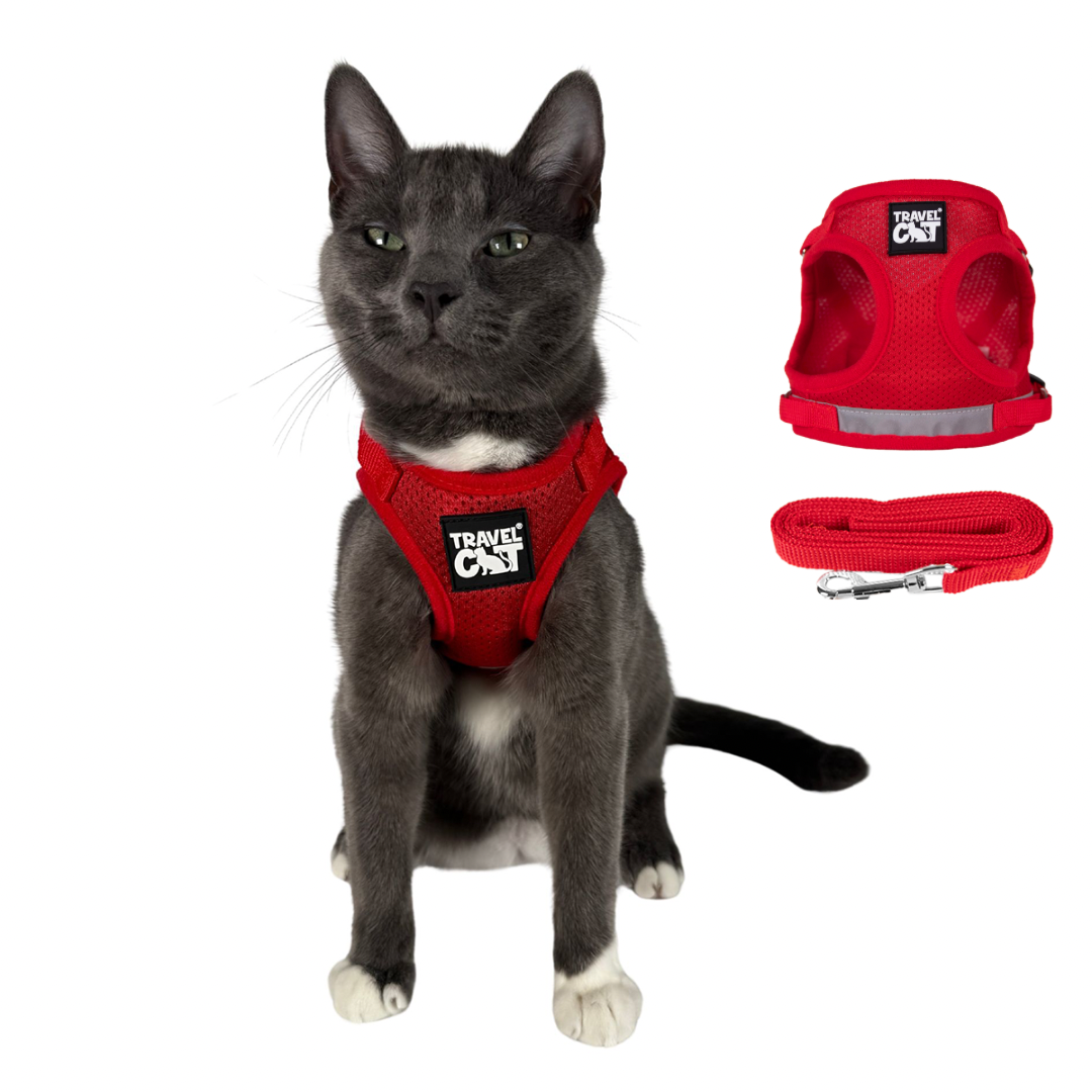 The Red True Adventurer" Reflective Cat & Kitten Harness and Leash