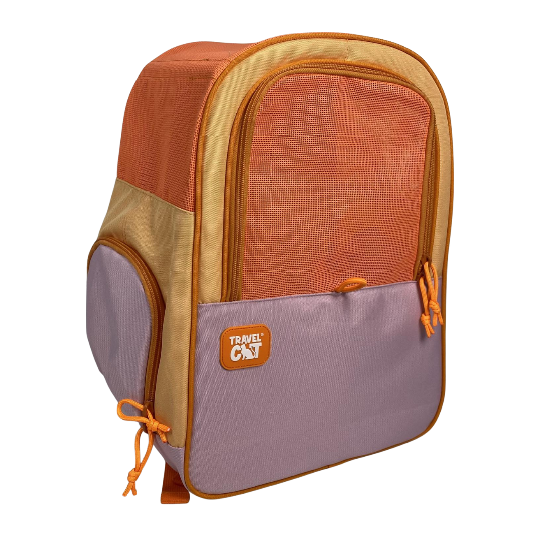 "The Cat-to-School" Cat Backpack