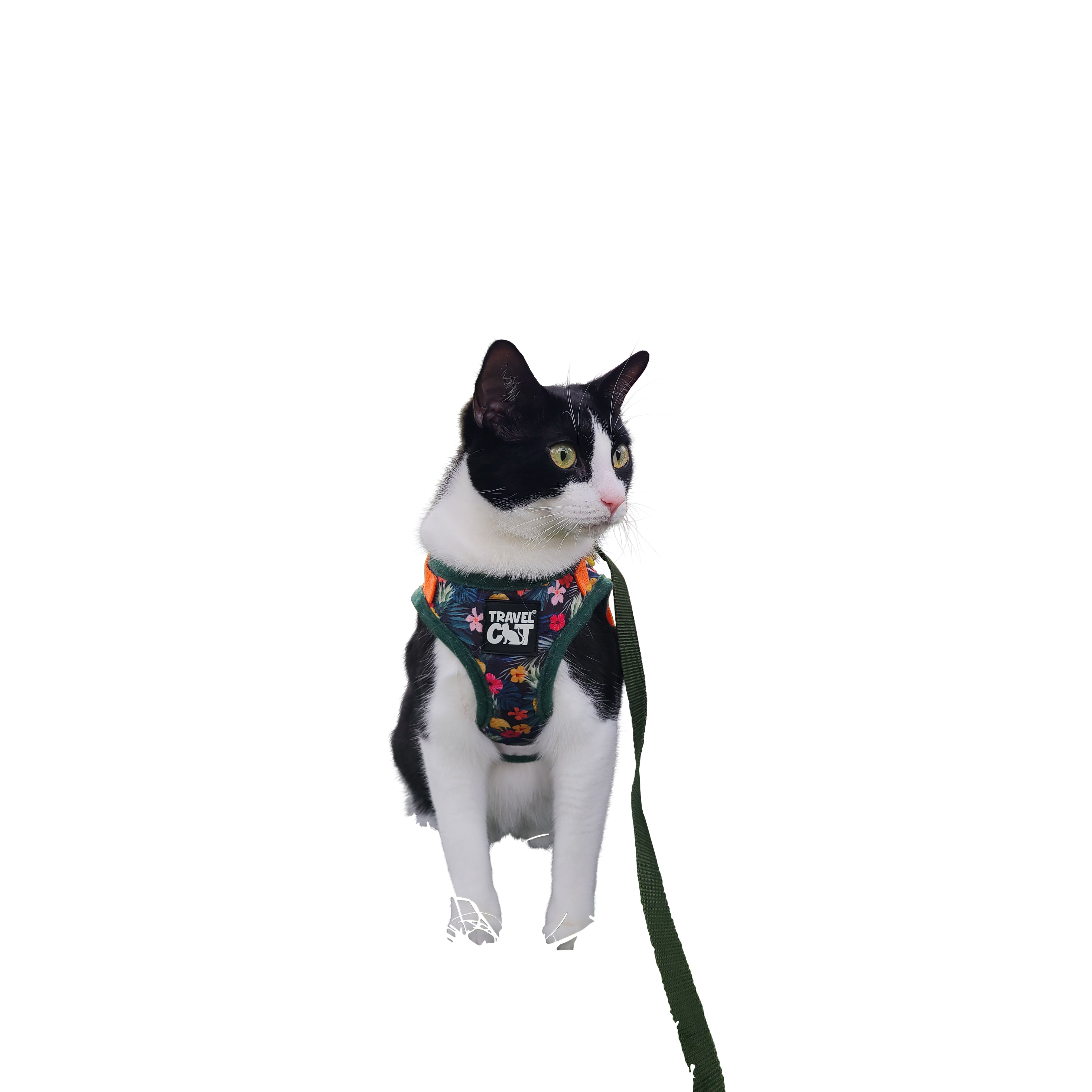 "The Hawaiian Shirt" Limited-Edition Cat Harness & Leash Set