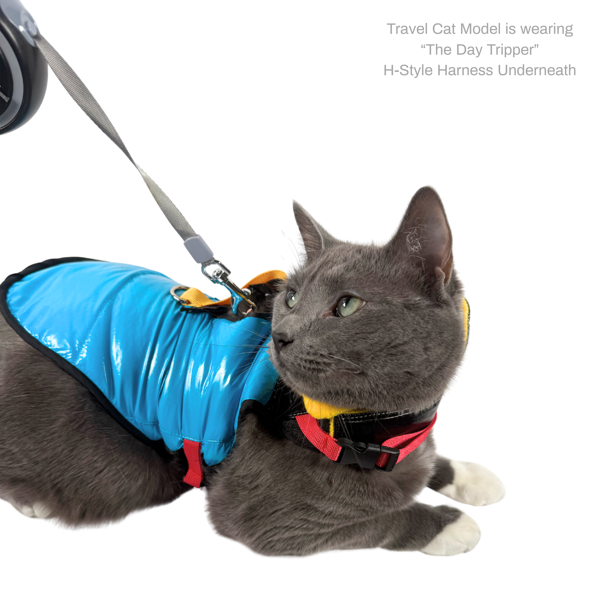 "The Catagonia" Puffer Jacket & Cat Harness