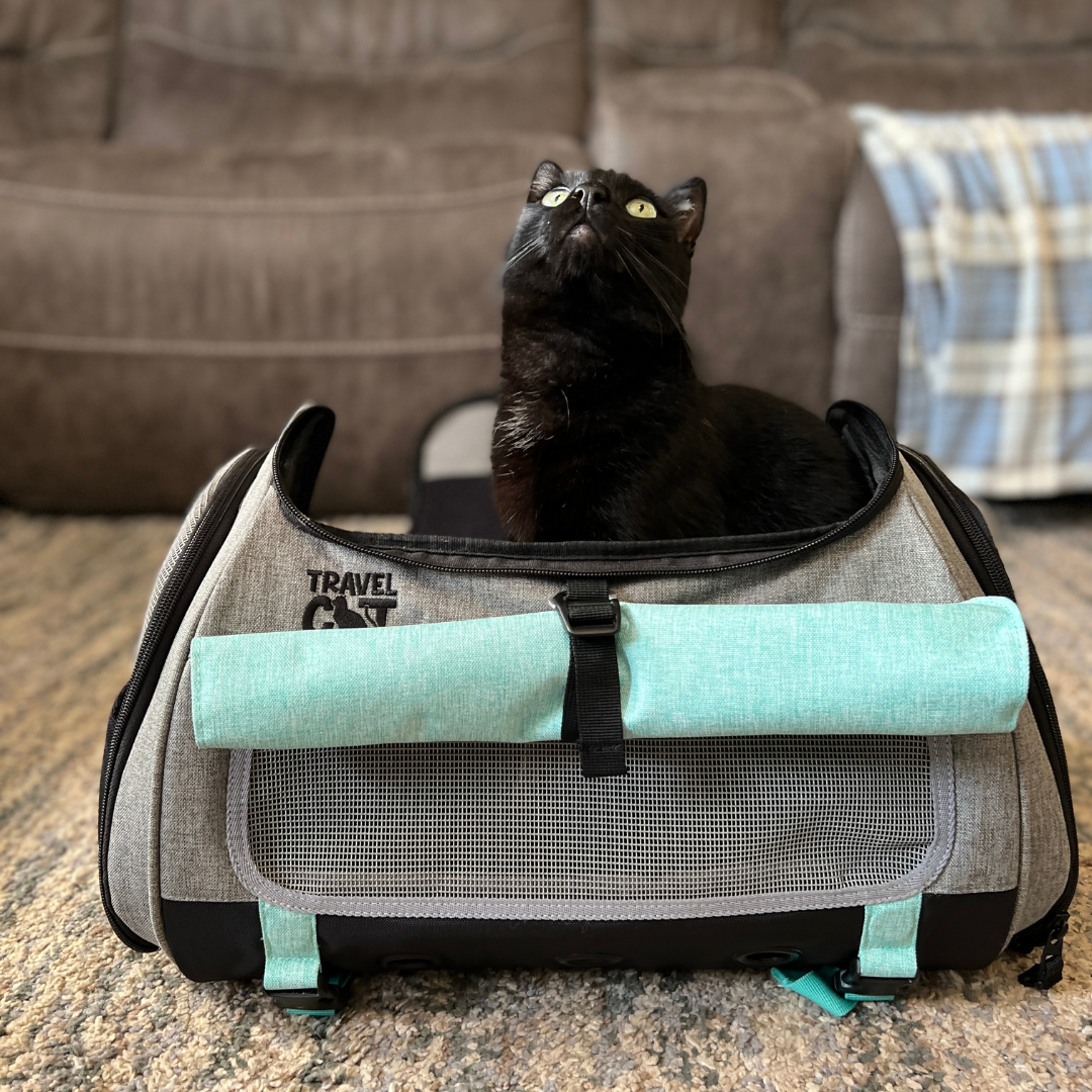 "The Transpurrter" Ultimate Calming Convertible Cat Carrier in Heather Grey and Teal