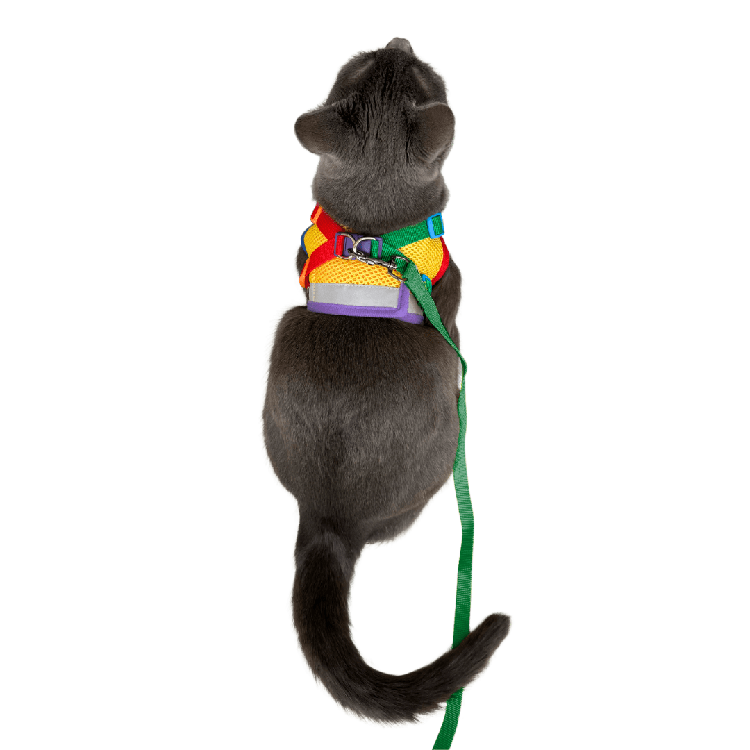 #Color_The Rainbow Cat