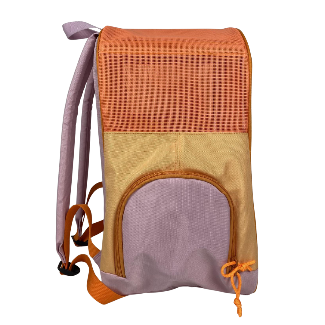 "The Cat-to-School" Cat Backpack