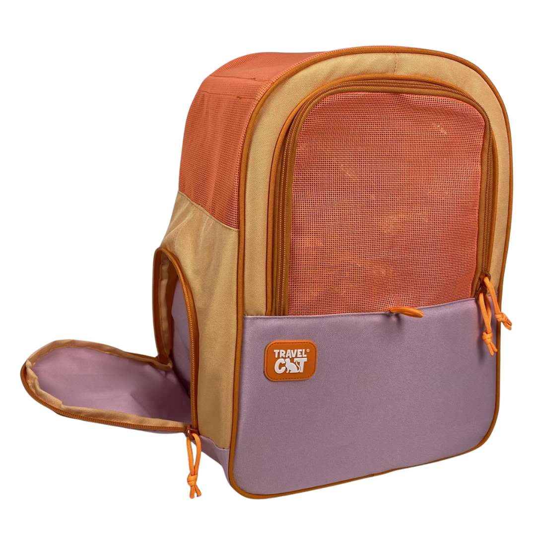 "The Cat-to-School" Cat Backpack