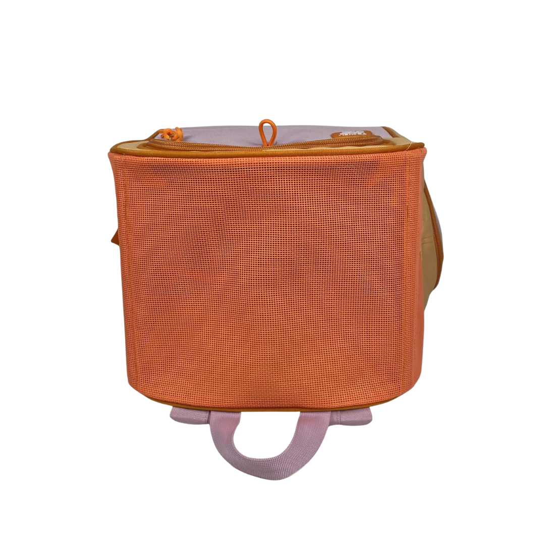 "The Cat-to-School" Cat Backpack