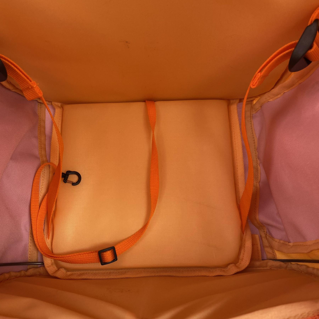 "The Cat-to-School" Cat Backpack