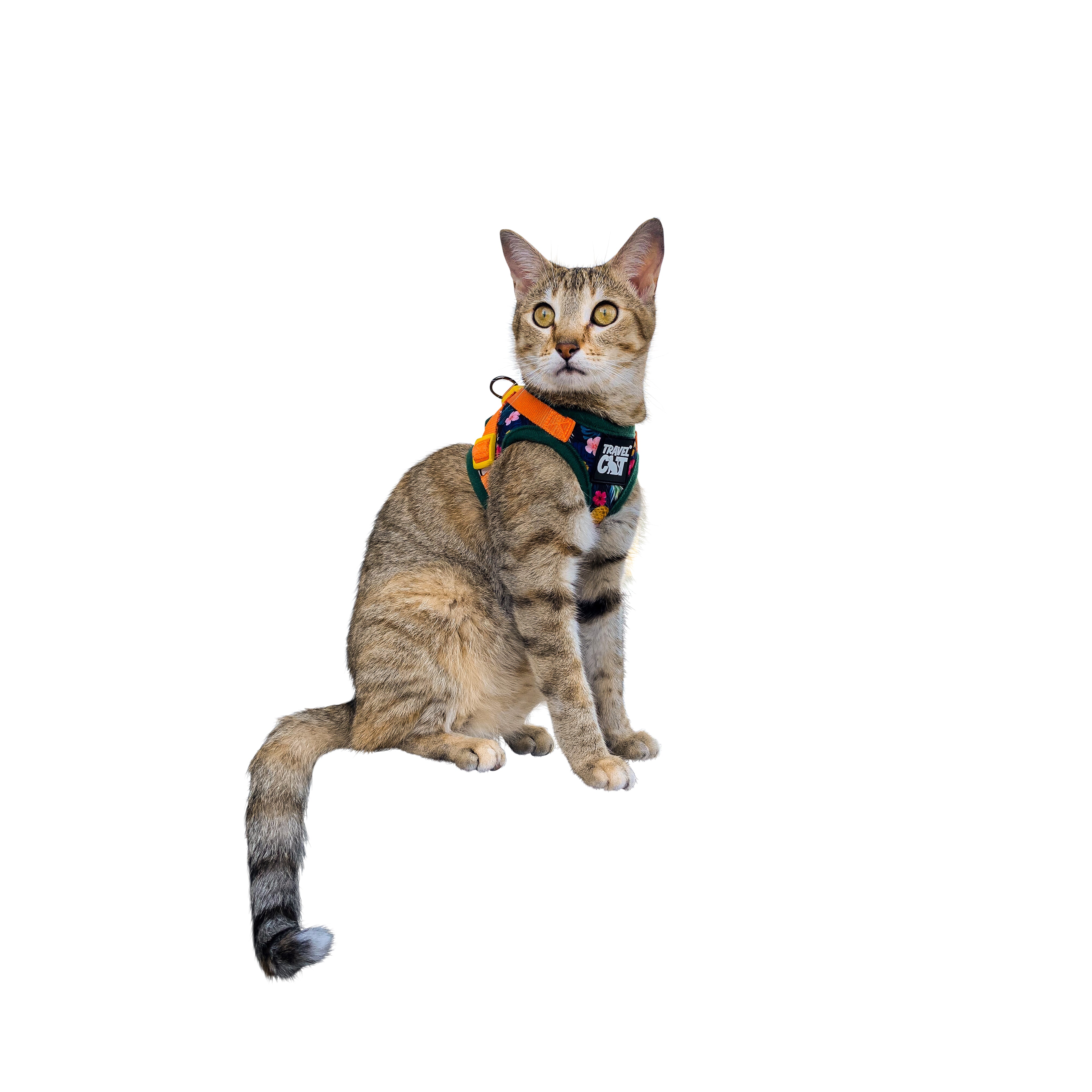 "The Hawaiian Shirt" Limited-Edition Cat Harness & Leash Set