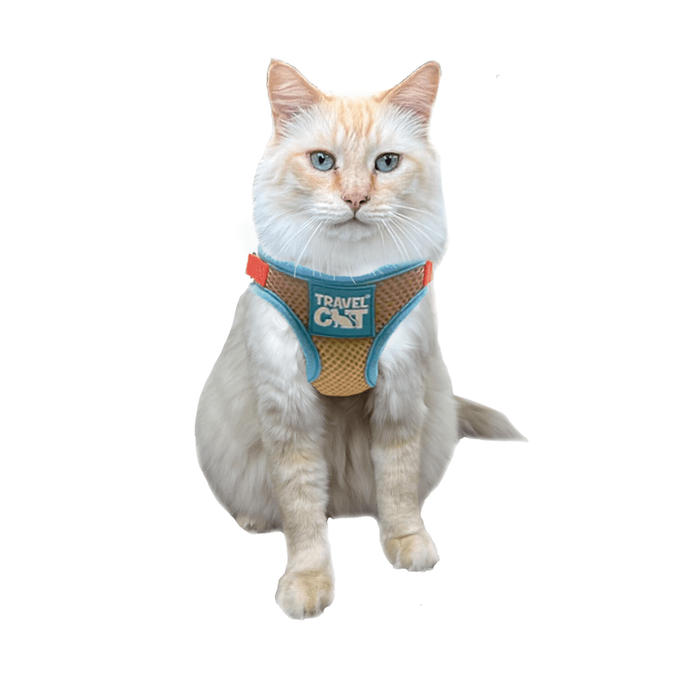 "The Pawpsicle" Limited Edition Cat Harness & Leash Set