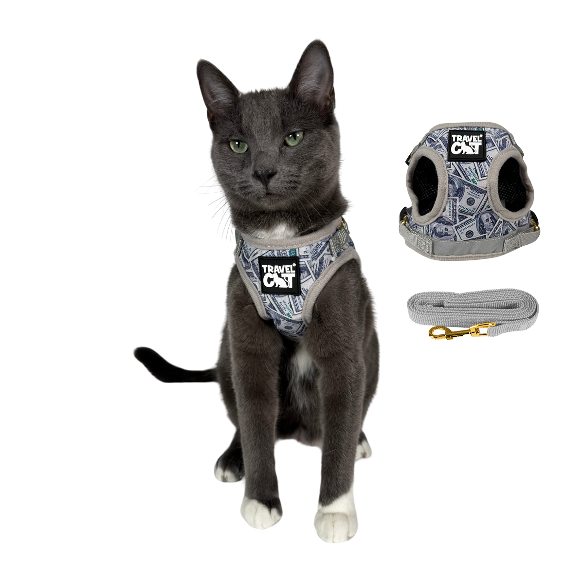 "Cash Cat" Limited Edition Harness & Leash Set