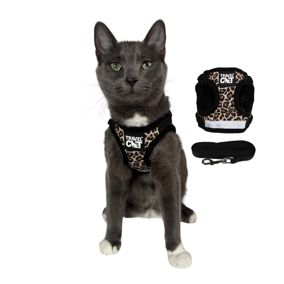 "The Cheeky Cheetah" Limited Edition Cheetah Print Cat Harness