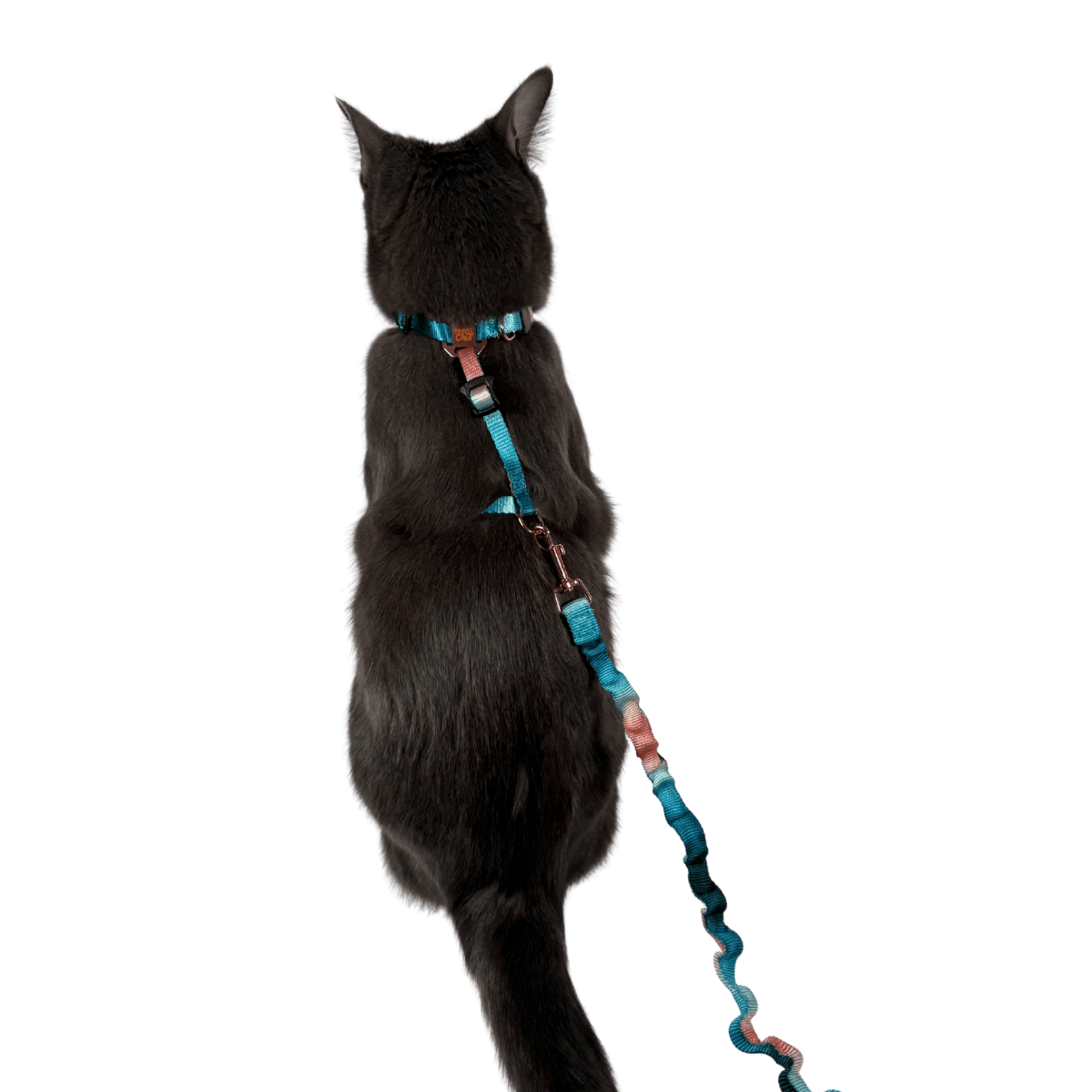 "The Day Tripper" Perfect Adjustable H-Style Cat Harness & Bungee Leash Set - Watercolors