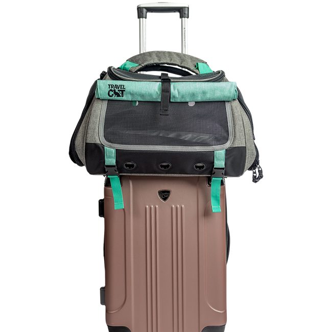 "The Transpurrter" Ultimate Calming Convertible Cat Carrier in Heather Grey and Teal