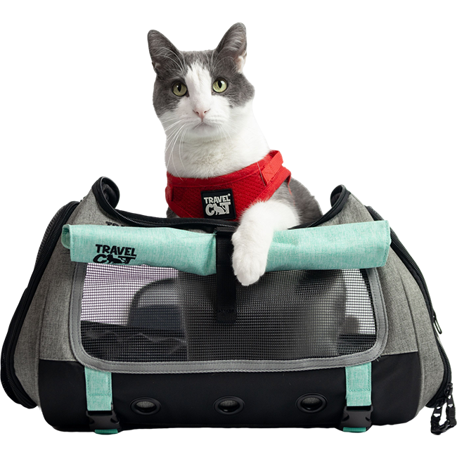 "The Transpurrter" Ultimate Calming Convertible Cat Carrier in Heather Grey and Teal