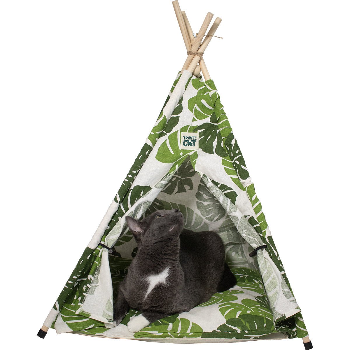 Travel Cat Monstera Cat Tent Bed