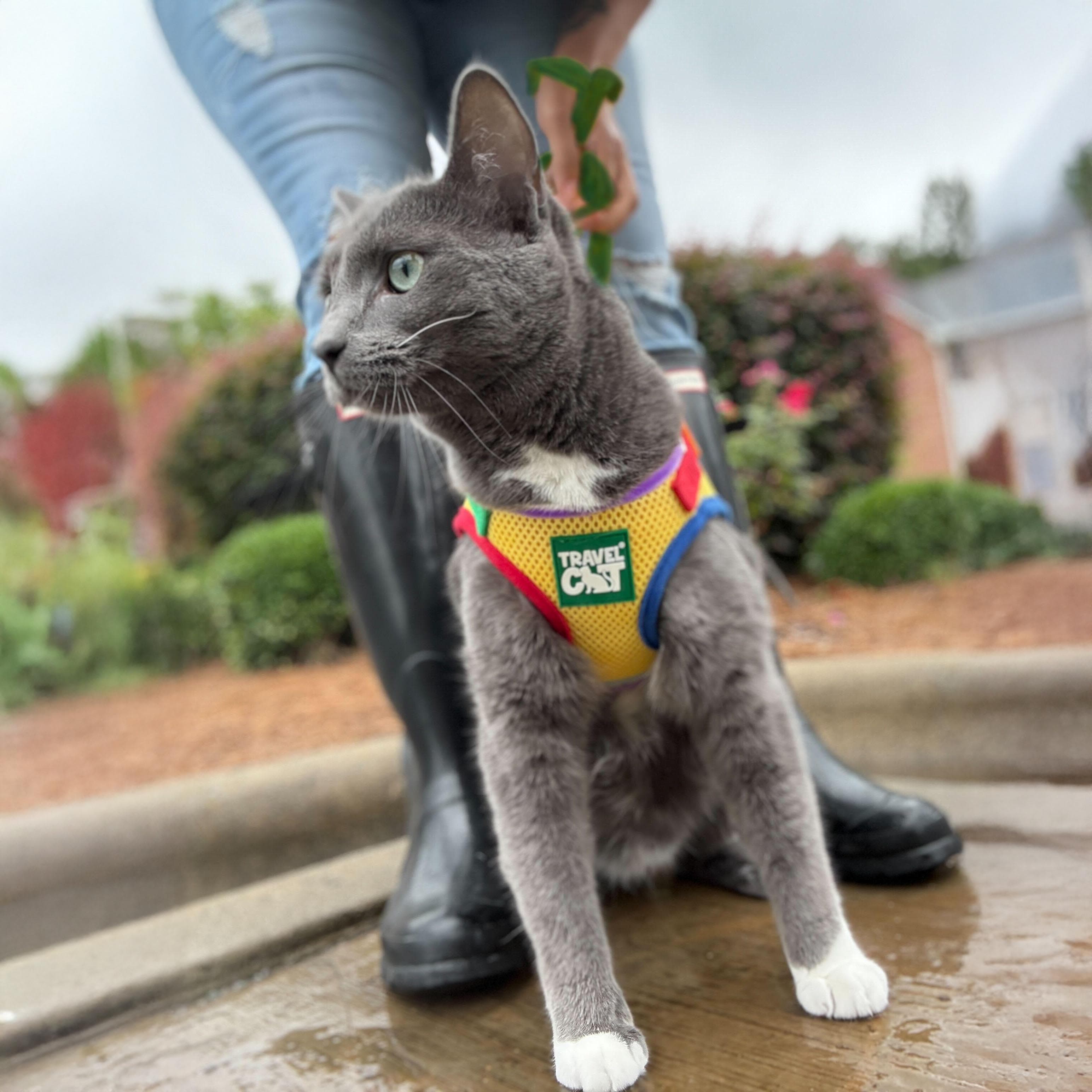 "The Rainbow" Limited Edition Cat Harness & Leash Set