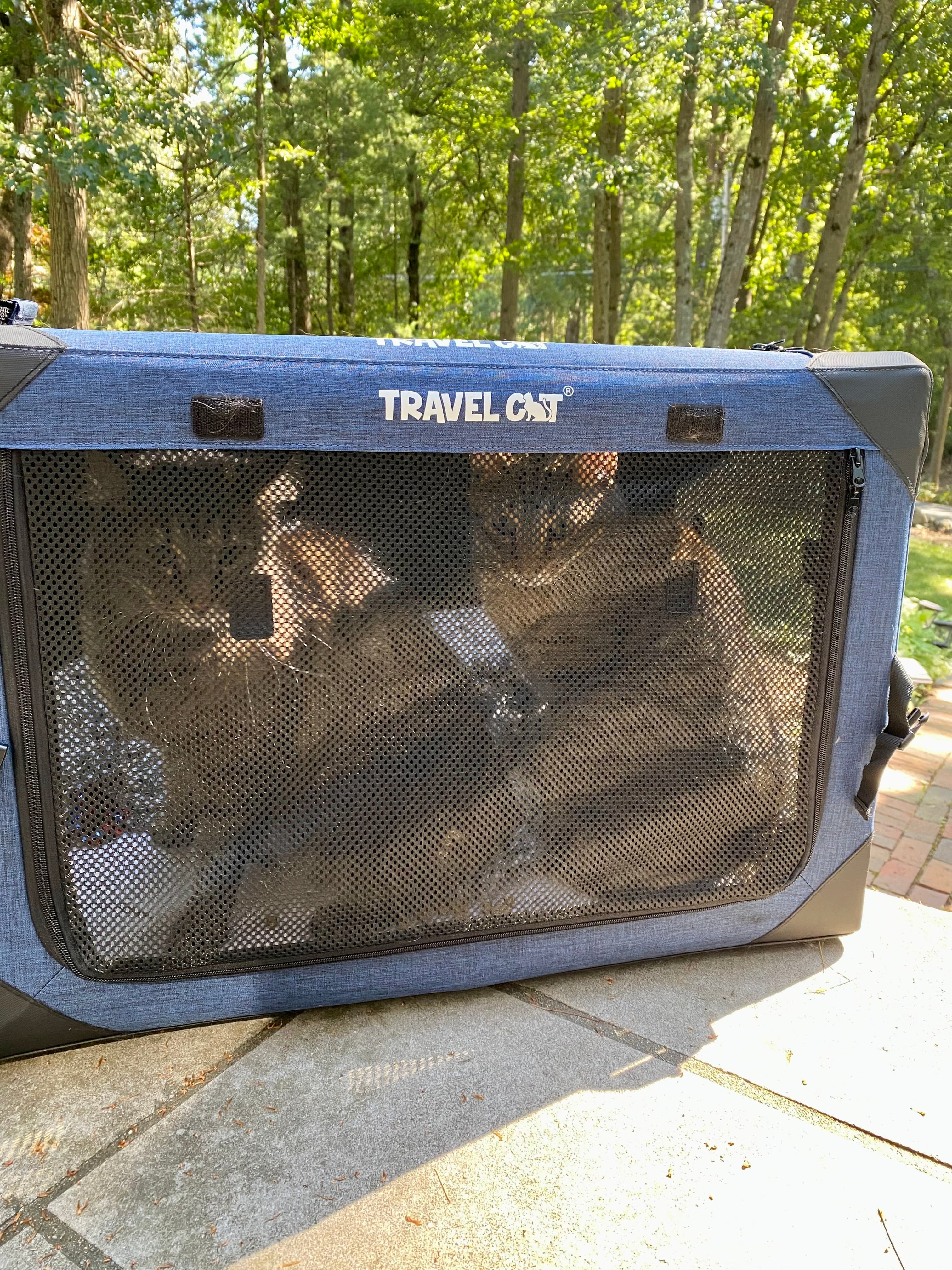 "The Boop Coop" Collapsible Travel Cat Crate & Carrier