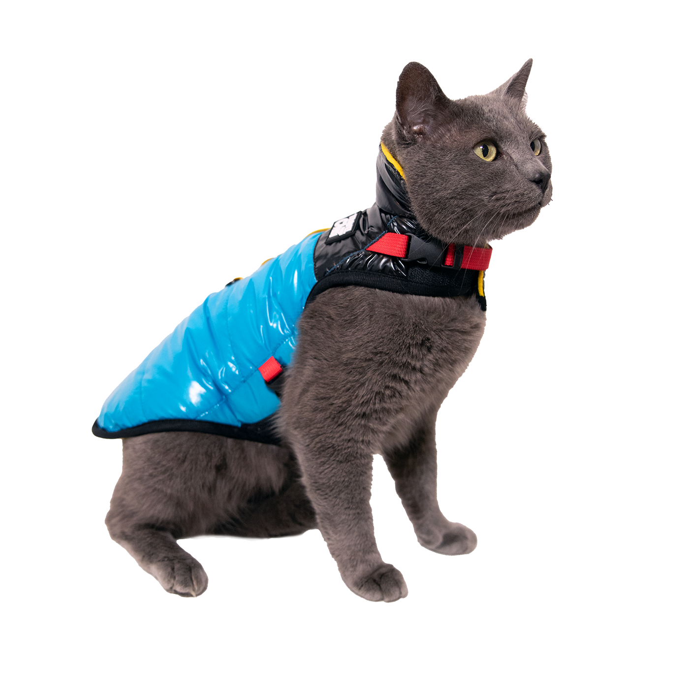 "The Catagonia" Puffer Jacket & Cat Harness
