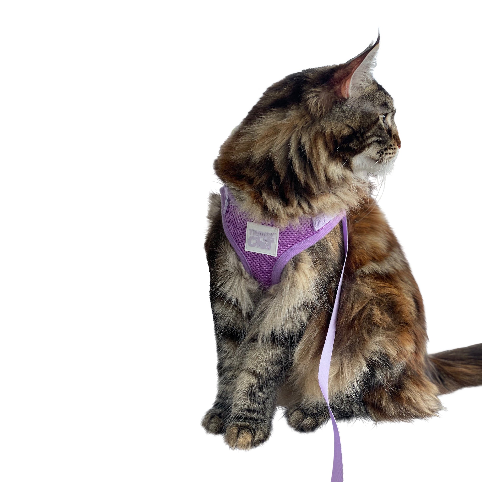 "The Lavender" Limited-Edition Purple Cat Harness & Leash Set