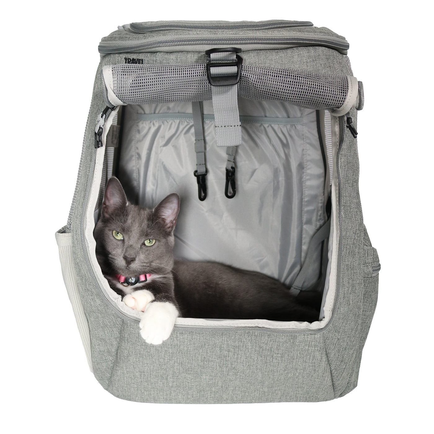 backpack for cat to travel in The Navigator