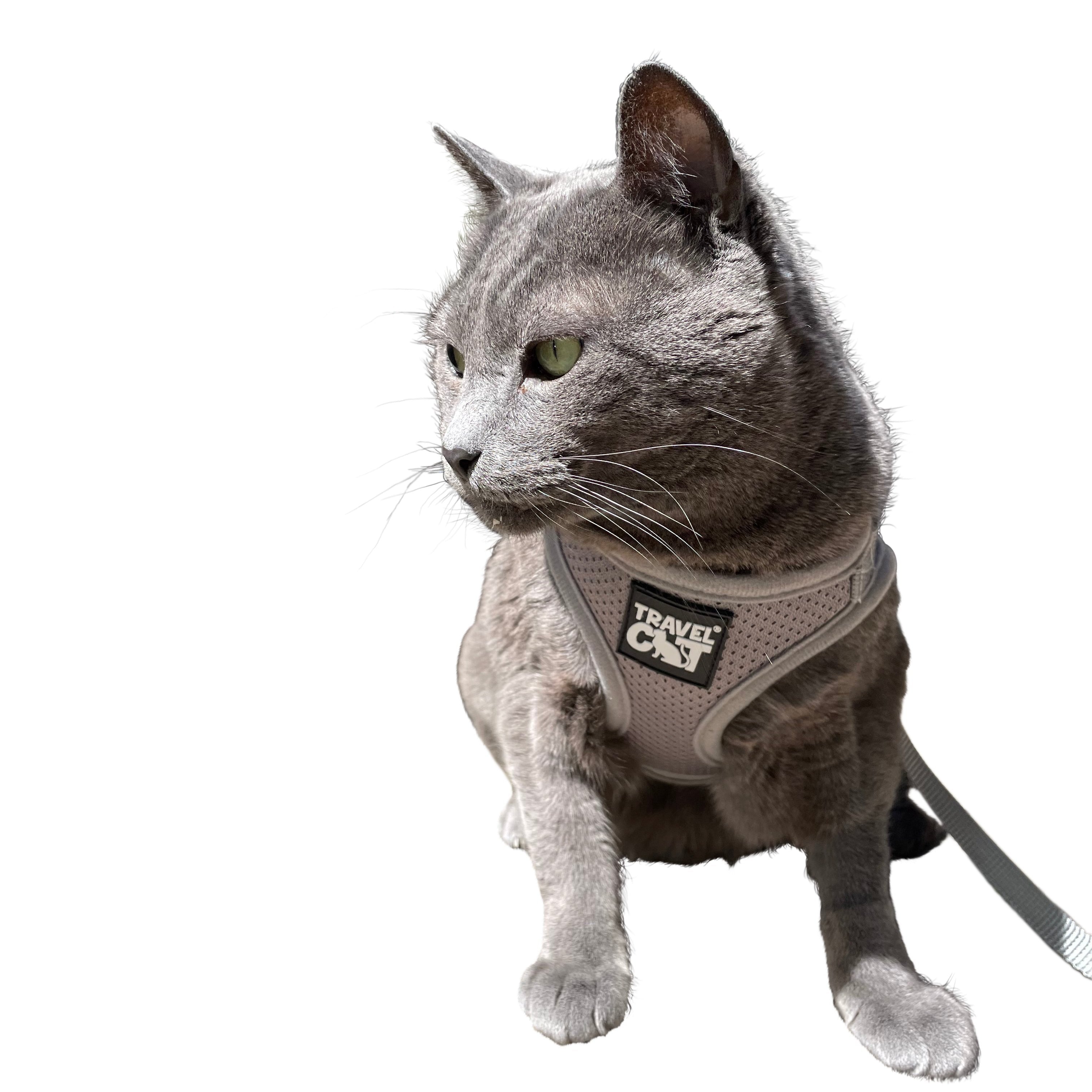 The Grey True Adventurer" Reflective Cat & Kitten Harness and Leash